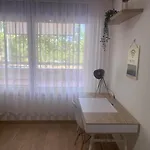 Ipb * براغانسا